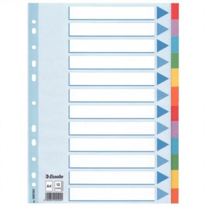 Regiszter, karton, A4, 12 részes, írható előlappal, ESSELTE "Standard", színes 