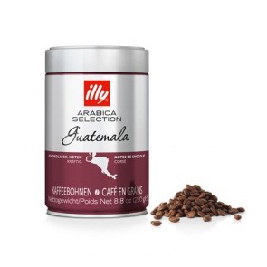 Kávé, pörkölt, szemes, 250 g,  ILLY "Guatemala"
